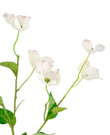 Het Kunstkornoelje Real Touch Wit 74cm heeft levensechte witte kornoelje bloemen met lichtroze randen en groene bladeren op slanke stelen, tegen een witte achtergrond.