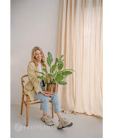 Une femme souriante est assise sur une chaise en bois avec la plante artificielle Calathea Makoyana 60 cm dans un pot design. Elle porte un blazer beige, un jean clair et des baskets. Des rideaux lumineux en arrière-plan rehaussent l’aspect minimal et léger de la pièce.