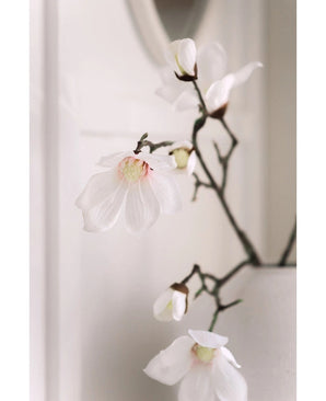 Een close-up van de Kunstmagnoliatak Real Touch Wit 98cm toont delicate witte magnolia bloemen met roze hart op donkere takken in een witte vaas, tegen een zacht vervaagde lichte achtergrond.