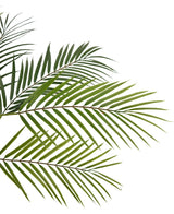 Gros plan du palmier artificiel Chamaedorea de 83 cm avec des feuilles vertes et fines sur fond blanc, créant un aspect naturel et tropical.