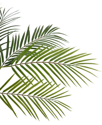 Gros plan du palmier artificiel Chamaedorea de 83 cm avec des feuilles vertes et fines sur fond blanc, créant un aspect naturel et tropical.
