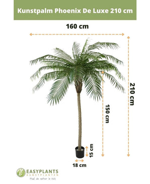 Palmier artificiel Phoenix De Luxe 210 cm : palmier artificiel, largeur max 160 cm, hauteur du tronc 150 cm, dimensions du pot H15xØ18 cm. La marque et le texte néerlandais sont visibles.