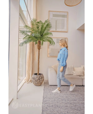 Une femme vêtue d'un chemisier bleu et d'un jean passe devant le Kunstpalm Phoenix De Luxe 250 cm dans un salon lumineux et moderne avec de hautes fenêtres, une décoration neutre et des œuvres d'art encadrées au mur.