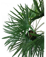 Vue de dessus de la plante artificielle Baby Palm Fan en pot UV 50 cm, avec des feuilles vertes luxuriantes en forme d'éventail rayonnant depuis des pots décoratifs élégants sur un fond blanc.