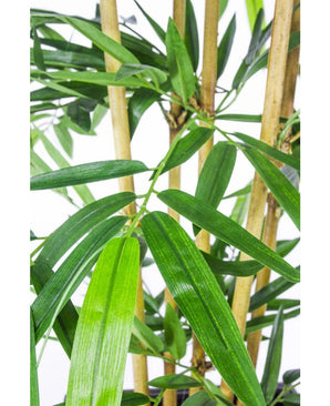 Gros plan de la plante artificielle bambou 300 cm ignifuge, avec de fines feuilles vertes et des tiges de bambou pâles sur fond blanc, mettant en valeur la texture et le contraste des couleurs de cette plante artificielle ignifuge réaliste.