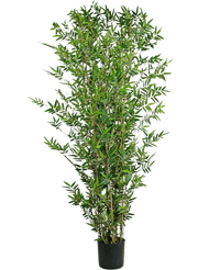 Bambou artificiel Deluxe 180 cm