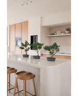 Une plante artificielle Bonsai Juniper de 40 cm se dresse sur un îlot de cuisine blanc avec deux tabourets en bois, entourés d'armoires en bois clair, de plans de travail blancs et d'un décor minimaliste.