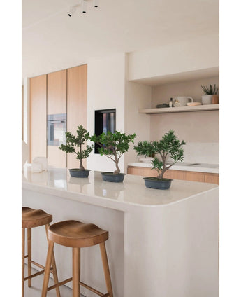 Trois bonsaïs artificiels Podocarpus de 40 cm en pots se trouvent sur un îlot de cuisine blanc avec deux tabourets en bois en dessous. La cuisine moderne dispose d'armoires en bois clair et d'étagères ouvertes avec plantes et décoration.