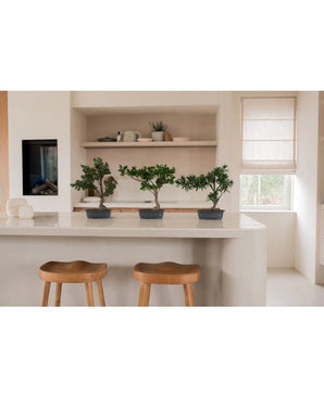 Une plante artificielle Bonsai Podocarpus de 40 cm dans un pot rectangulaire se dresse sur un îlot de cuisine blanc avec deux tabourets en bois, des étagères avec de la vaisselle et des plantes derrière et la lumière du soleil brille à travers une fenêtre avec un abat-jour beige.