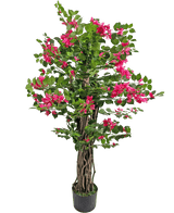 De Kunstplant Bougainvillea 120 cm heeft gedraaide bruine stelen, weelderige groene bladeren en levendige roze bloemen, perfect om kleur toe te voegen aan elke ruimte.