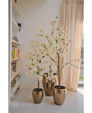 Une plante de bougainvilliers artificiels de 120 cm de haut avec des fleurs blanches dans un pot doré texturé se tient près d'une fenêtre avec des rideaux transparents, à côté d'étagères pleines de livres et de décorations dans une pièce lumineuse et moderne.