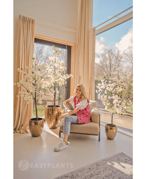 Une femme souriante est assise dans un fauteuil beige près de grandes fenêtres aux rideaux transparents, entourée de bougainvilliers artificiels de 120 cm blancs dans des jardinières dorées. La lumière du soleil pénètre et illumine la pièce moderne et confortable.