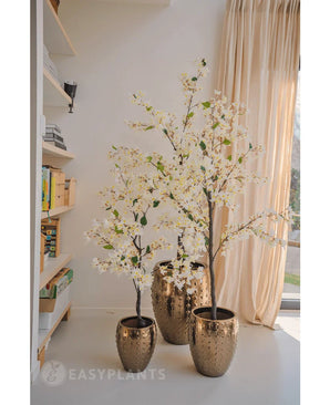 Une plante de bougainvilliers artificiels mesurant 150 cm de haut se dresse dans un pot doré décoratif près d'une fenêtre ensoleillée avec des rideaux beiges et ajoute de l'élégance à l'espace confortable. Les étagères à proximité renforcent l’atmosphère intérieure accueillante.