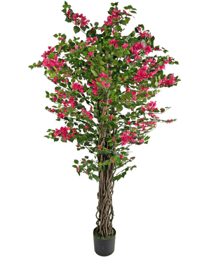 Le Bougainvillier Artificiel 180 cm est une grande plante artificielle avec des tiges brunes torsadées, des feuilles vertes vibrantes et des bouquets de fleurs rose vif dans un pot.