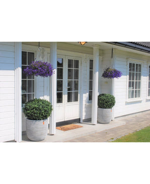 Une maison blanche avec double porte vitrée, deux Buis Artificiels sur tige style romain UV 85cm de part et d'autre de l'entrée et deux paniers suspendus avec des fleurs violettes au dessus de chaque buisson. Il y a un paillasson devant les portes.