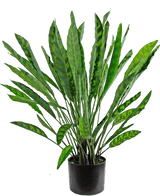 La plante artificielle Calathea 60 cm est une plante artificielle haute avec de nombreuses feuilles vertes longues et étroites aux motifs clairs et foncés, disposées dans un simple pot noir sur fond blanc.