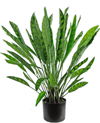 Plante artificielle Calathea 60 cm