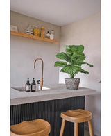 Un coin cuisine moderne avec un comptoir en béton, un robinet doré, une plante artificielle Calathea UV 72 cm, deux tabourets en bois, des distributeurs de savon et une étagère en bois avec des pots et des récipients contre un mur de couleur claire.