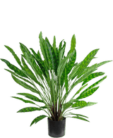Plante artificielle Calathea 85 cm - une plante d'intérieur en pot vert luxuriant avec de longues feuilles minces et dressées dans un pot noir, isolée sur blanc.