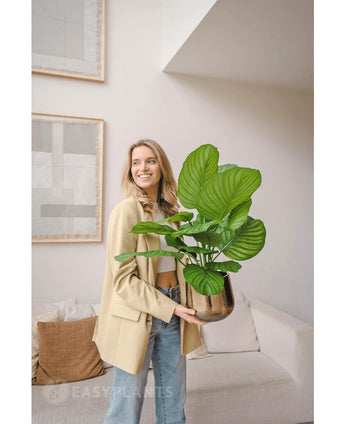 Une femme sourit tout en tenant une grande plante UV artificielle Calathea Fasciata de 70 cm dans un pot ; elle se tient dans un salon moderne avec des meubles beiges et des œuvres d'art murales abstraites.