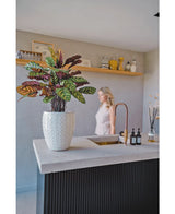 La plante artificielle Calathea Makoyana UV 75 cm rouge, aux feuilles vertes et violettes vibrantes, se dresse sur un îlot de cuisine moderne avec un robinet doré ; une femme vêtue d'une robe légère est floue en arrière-plan près d'un mur beige et d'une étagère décorative.