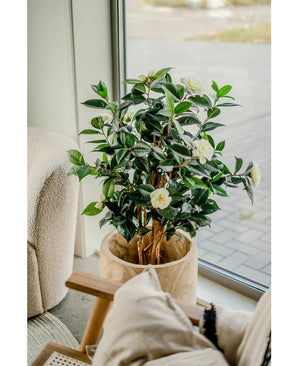 La plante artificielle Camellia japonica de 100 cm, aux feuilles vert foncé et aux fleurs blanches, se dresse près d'une grande fenêtre à côté d'une chaise avec des coussins et des coussins beiges.