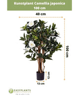 Plante artificielle Camellia japonica de 100 cm de haut et 40 cm de large, livrée dans un pot noir de 13x12 cm. La rose japonaise a des feuilles vertes et des fleurs artificielles blanches, représentées en dimensions.