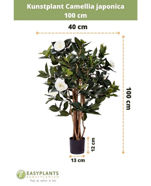 Plante artificielle Camellia japonica de 100 cm de haut et 40 cm de large, livrée dans un pot noir de 13x12 cm. La rose japonaise a des feuilles vertes et des fleurs artificielles blanches, représentées en dimensions.