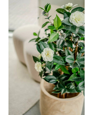 La plante artificielle Camellia japonica de 100 cm aux feuilles vertes brillantes et aux fleurs blanches est placée à l'intérieur à côté d'une chaise lumineuse et d'un tapis texturé.