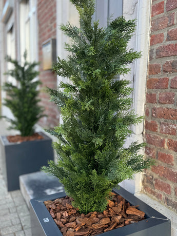 Un gros plan de la plante artificielle Conifer UV 120 cm, une plante conifère artificielle verte dans une jardinière rectangulaire noire avec un paillis d'écorce brune, exposée sur un trottoir près d'un bâtiment en brique ; un autre planteur de ce type est en arrière-plan.