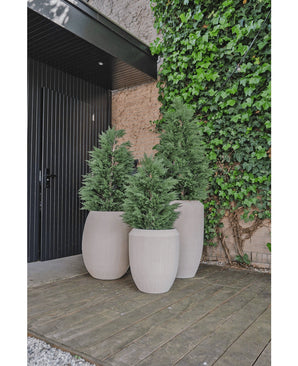 Trois jardinières hautes de couleur claire avec des plantes d'extérieur luxueuses telles que le conifère artificiel deluxe UV 100 cm se dressent sur une terrasse en bois près d'un mur recouvert de lierre vert, à côté d'une porte noire et d'une zone partiellement recouverte de gravier.