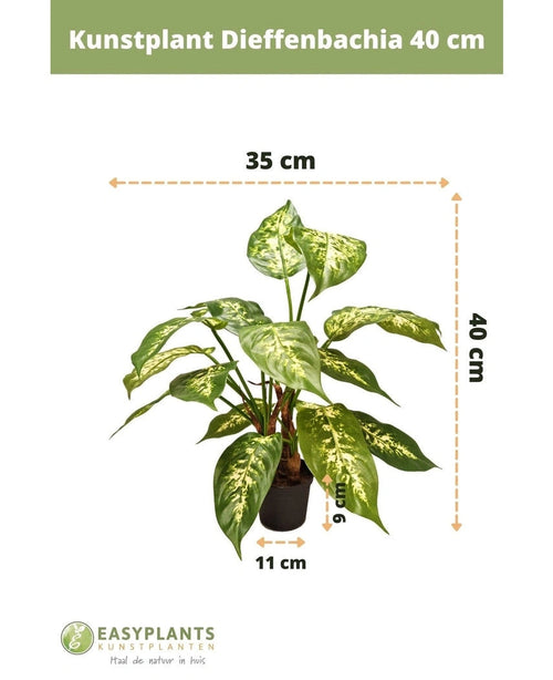 Plante artificielle Dieffenbachia 40 cm : feuilles vertes à motifs blancs. Hauteur 40 cm, largeur 35 cm. Pot Ø11 cm, hauteur 9,5 cm. Parfait pour les pots décoratifs. Logo Easyplants Kunstplanten en bas.