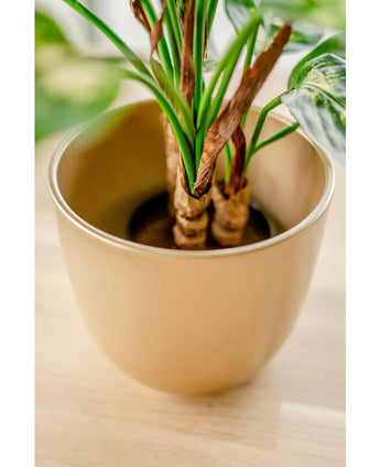 Gros plan de la plante artificielle Dieffenbachia de 40 cm avec des feuilles vertes et quelques bords marron, présentée dans des pots décoratifs marron clair sur une surface en bois.