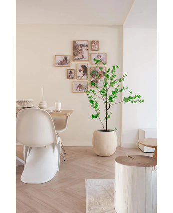 Une salle à manger moderne et minimaliste avec des chaises blanches, une table en bois et la plante artificielle Enkianthus de 150 cm qui ajoute de la verdure, complétée par une galerie murale de photos encadrées sur un fond de couleur neutre.