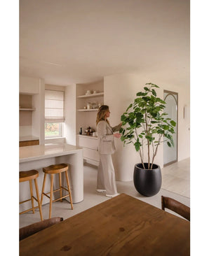 Une femme vêtue de vêtements neutres se tient dans une cuisine moderne et minimaliste et touche les feuilles de la plante artificielle Ficus de 210 cm. La lumière du soleil souligne les lignes épurées et les tons terreux de la pièce.