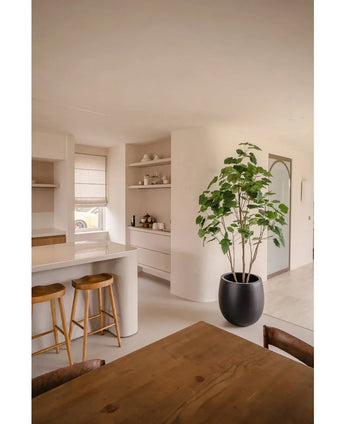 Une cuisine moderne avec des murs clairs, des tabourets en bois sur le comptoir, des étagères ouvertes avec de la vaisselle, un Ficus artificiel de 210 cm qui ajoute de la verdure et une table à manger en bois avec des chaises. L'espace est lumineux grâce à la lumière naturelle.