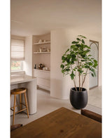 Une cuisine et une salle à manger modernes et minimalistes dans des tons neutres comprennent des étagères ouvertes, un îlot incurvé avec un tabouret en bois, un ensemble de salle à manger en bois et la plante artificielle Ficus 210 cm comme plante en pot élégante. La lumière naturelle illumine la pièce.