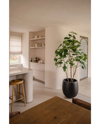 Une cuisine et une salle à manger modernes et minimalistes dans des tons neutres comprennent des étagères ouvertes, un îlot incurvé avec un tabouret en bois, un ensemble de salle à manger en bois et la plante artificielle Ficus 210 cm comme plante en pot élégante. La lumière naturelle illumine la pièce.