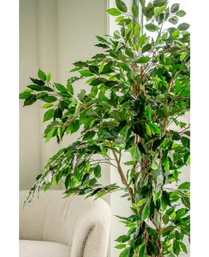 La plante artificielle Ficus Tropical Liana 180 cm, aux multiples branches, se trouve à côté d'une chaise rembourrée de couleur claire dans une pièce lumineuse et tamisée.