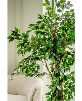 La plante artificielle Ficus Tropical Liana 180 cm, aux multiples branches, se trouve à côté d'une chaise rembourrée de couleur claire dans une pièce lumineuse et tamisée.