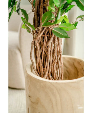 Gros plan du tronc marron tressé et des feuilles vertes de la plante artificielle Ficus Tropical Liana 180 cm dans une jardinière en bois lisse et clair. Une chaise rembourrée beige s'efface en arrière-plan, mettant en valeur les détails réalistes et la verdure vibrante de cette grande plante artificielle.