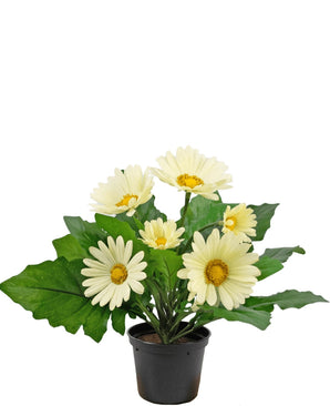 Plante artificielle Gerbera 28 cm blanche