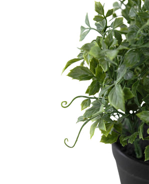 Gros plan de la plante artificielle Raisin 25 cm, une plante artificielle verte à feuilles avec des vrilles enroulées dans un pot noir, sur fond blanc. L'accent est mis sur les feuilles et les tiges structurées ; seule une partie du pot et de la plante sont visibles.