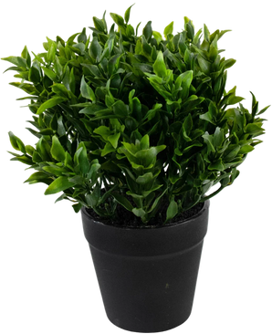 La Plante Artificielle Verte 20 cm en pot est une plante artificielle verte luxuriante avec de petites feuilles pointues dans un simple pot noir, parfaite pour ajouter une verdure vibrante à votre espace.