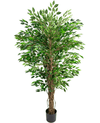 Plante artificielle Hawaïenne Ficus Liana 150 cm