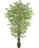 La Plante Artificielle Ficus Hawaïen Liana 180 cm est un grand arbre artificiel aux feuilles colorées vertes et blanches dans un pot noir, sur un fond blanc uni.