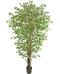 Plante artificielle Hawaïenne Ficus Liana 180 cm