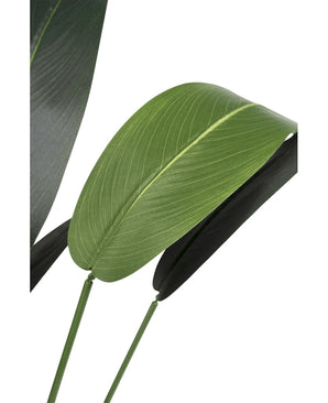 Gros plan d'une plante artificielle Heliconia de 110 cm avec deux grandes feuilles vertes et des nervures proéminentes sur des tiges minces, parfaite pour l'ameublement de petits espaces ou comme plante artificielle de salle de bain élégante, présentée sur un fond blanc uni.