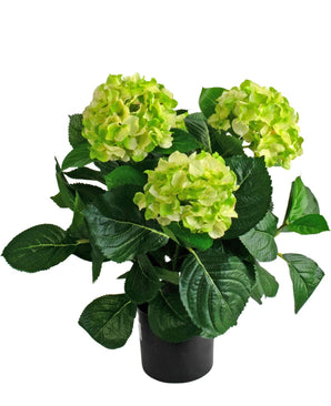La plante verte Hortensia artificiel UV 43 cm présente trois gros bouquets de fleurs d'hortensia vert clair avec des feuilles vert foncé dans un pot, sur un fond blanc.