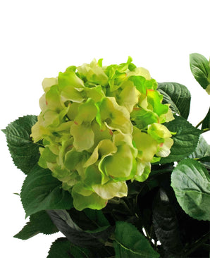 Un gros plan de l'hortensia artificiel UV 43 cm vert, avec des pétales superposés vert clair et des feuilles vert foncé, sur un fond blanc.